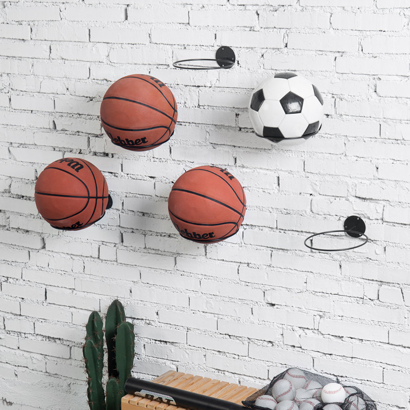 Rebrilliant 6 Piece Wall Mounted Sports Rack Wayfair